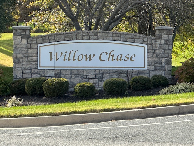 Willow Chase Homes for Sale