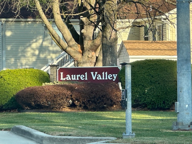 Laurel Valley Homes for Sale