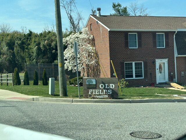 Old Fields Homes for Sale