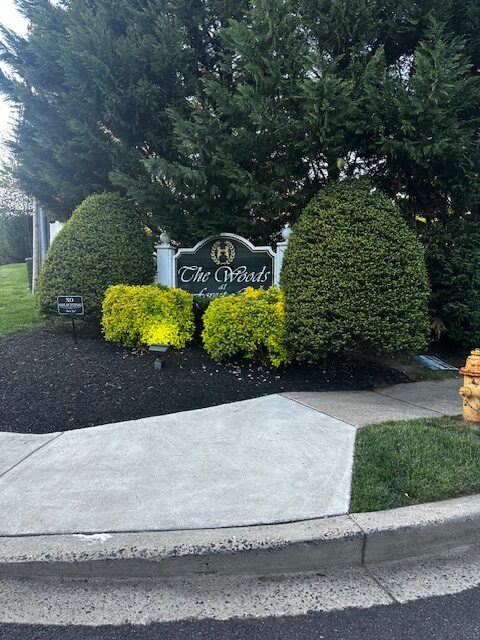 The Woods at Forest Glen Homes for Sale
