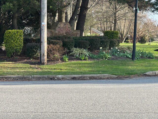 Meadow Springs Homes for Sale