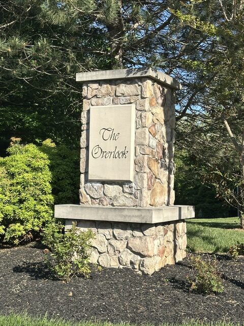 The Overlook Homes for Sale