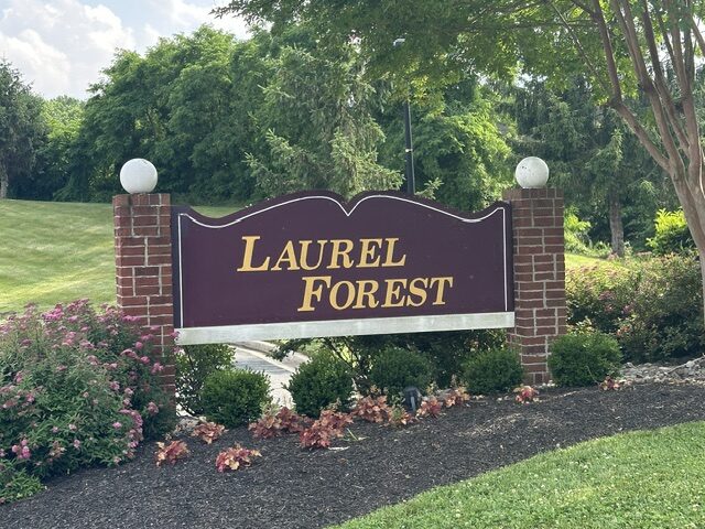 Laurel Forest Homes for Sale