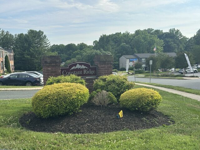 Constant Ridge Homes for Sale