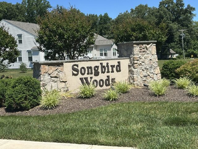 Songbird Woods Homes for Sale
