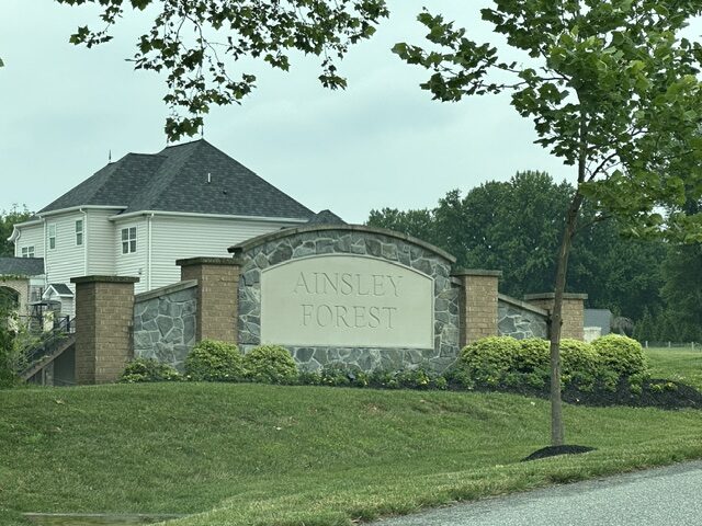 Ainsley Forest Homes for Sale