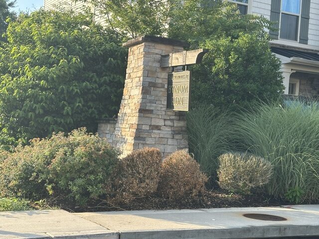 Townes at Bynum Run Homes for Sale