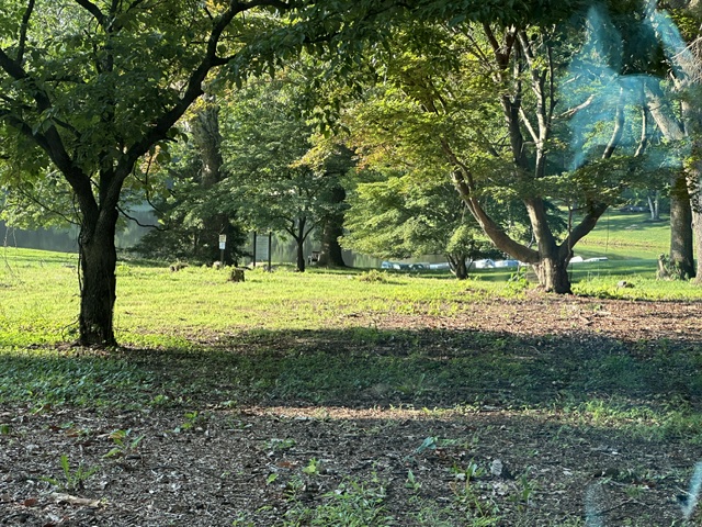 Campus Hills Estate Homes for Sale