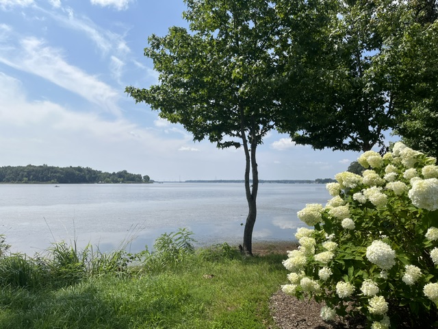 Waters Edge Homes for Sale