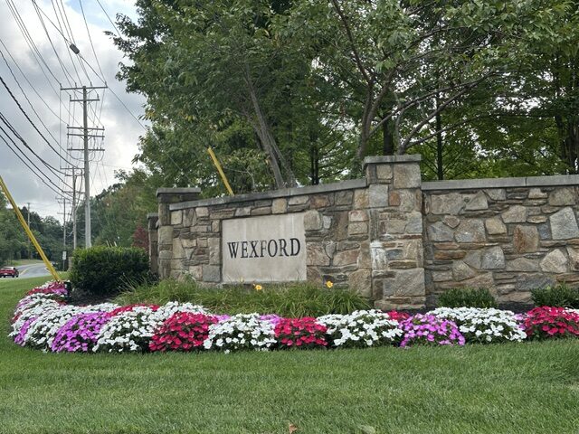Wexford Homes for Sale